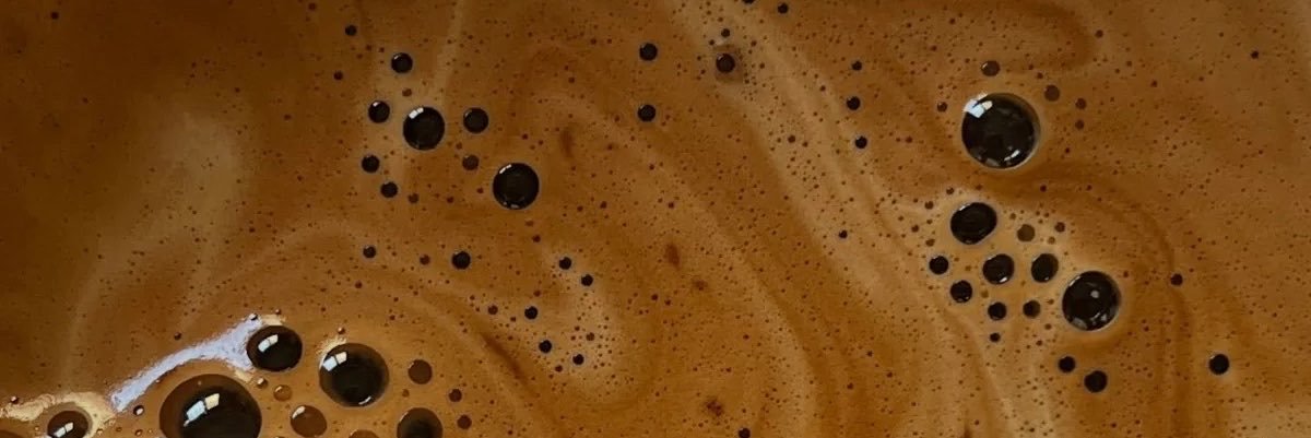 𓆝e banner
