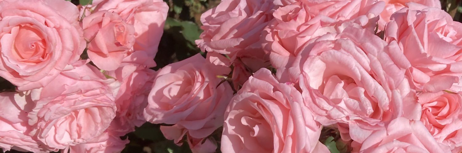 non_n245's profile banner image