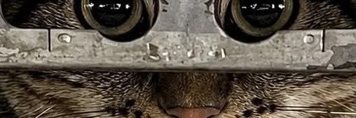 MayKhooo's profile banner image