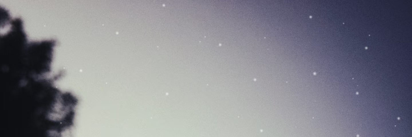 inR31chenbach's profile banner image