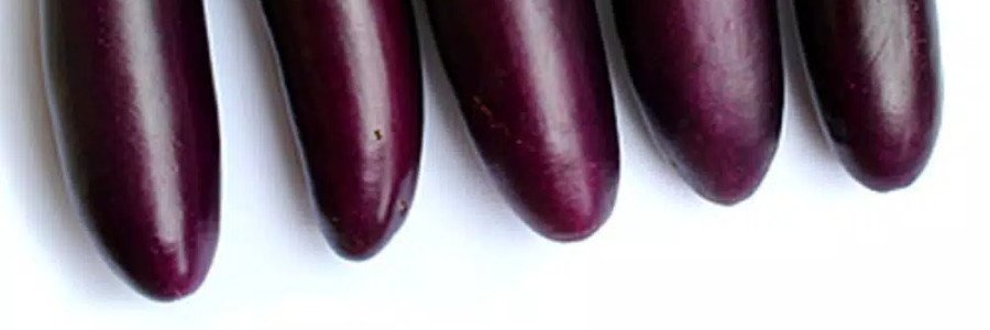 Pencari banner