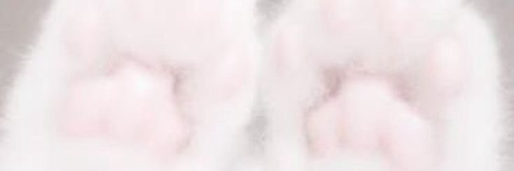 1nime_ru's profile banner image