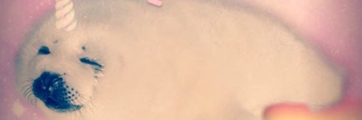 Bokkk banner