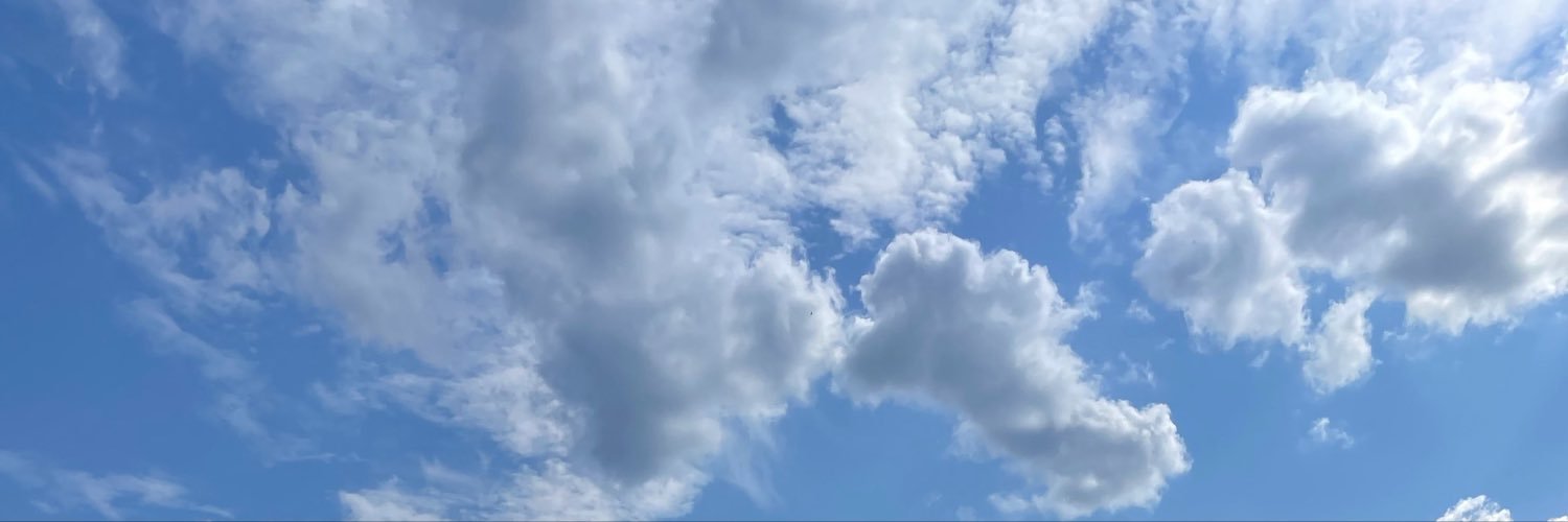 NavisMovie's profile banner image