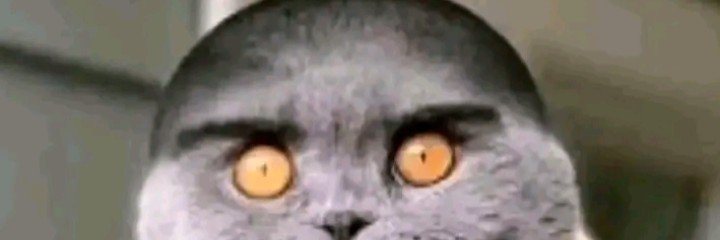 janeyesf's profile banner image