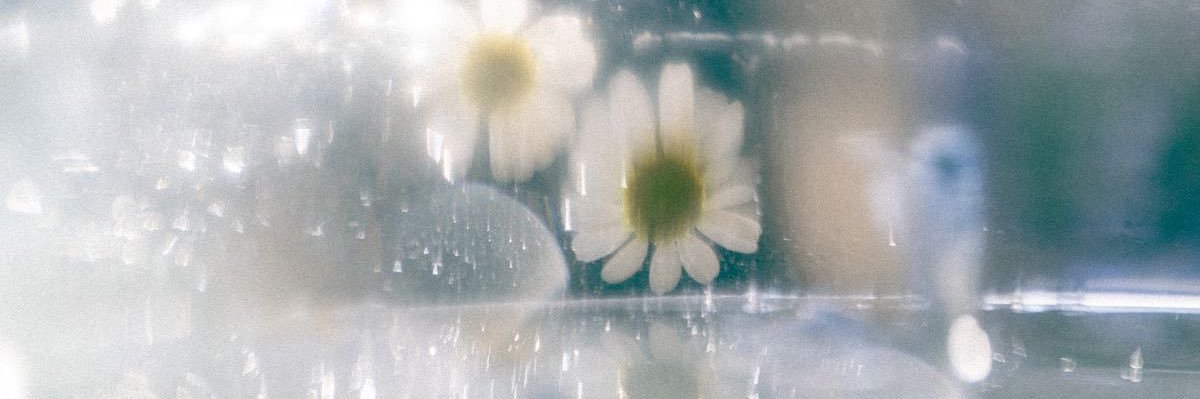 moo0_24's profile banner image