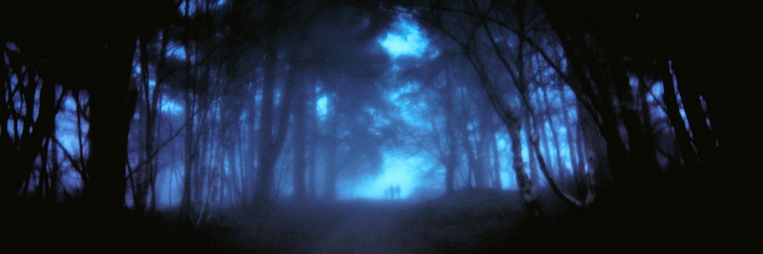 ₍^. .^₎⟆ banner