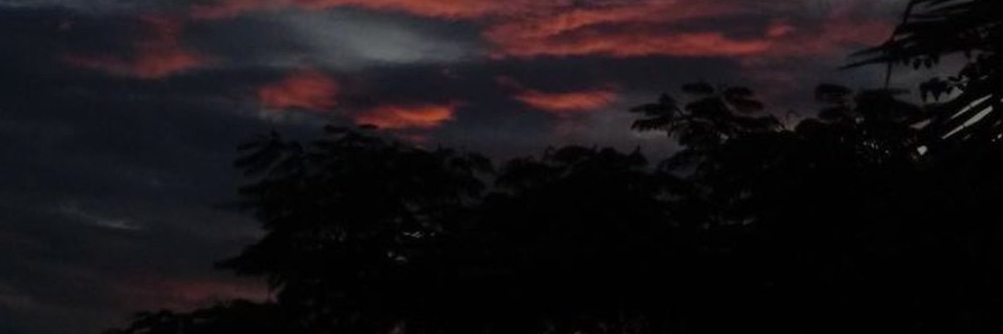 Dohaa_1997's profile banner image