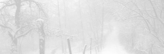 gore banner