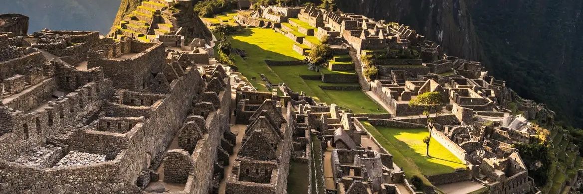 ادواردو رودریگز banner