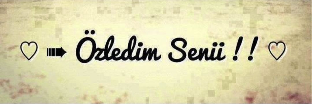 helin banner