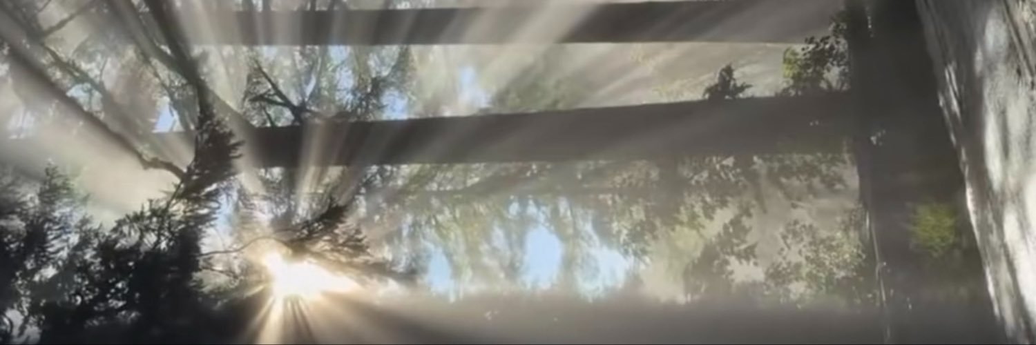 wz3ew's profile banner image
