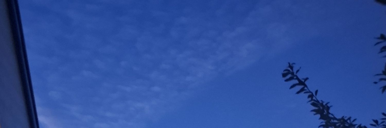 nyanunan31334's profile banner image