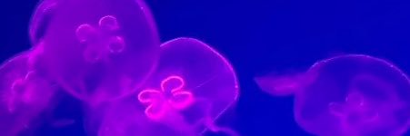 caster7082's profile banner image