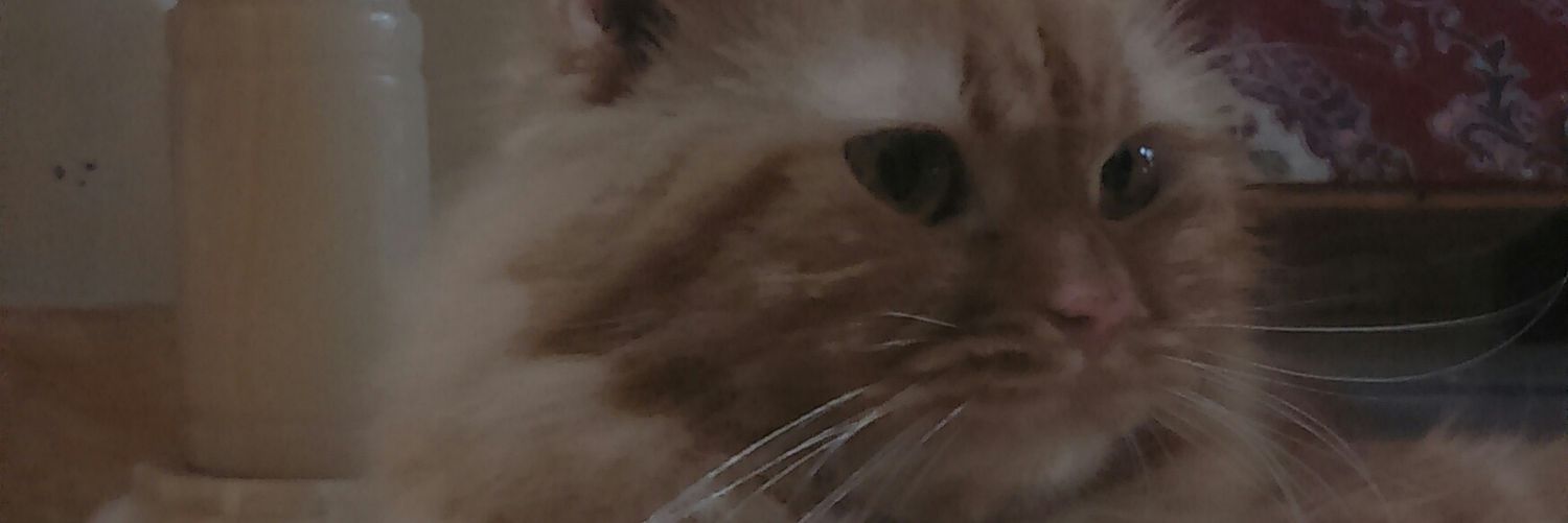 exandraa's profile banner image