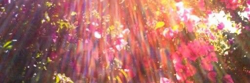 sylvnon's profile banner image