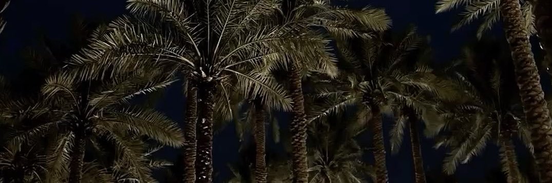 l1lix3's profile banner image