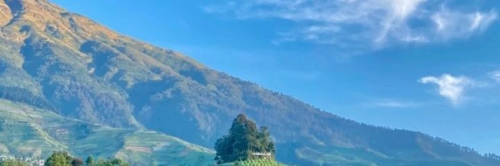 Marchel Indikator banner