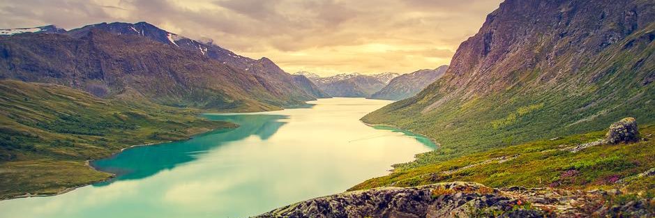 Högerspöke 🇸🇪 banner