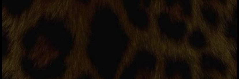 Gl1tt3r banner