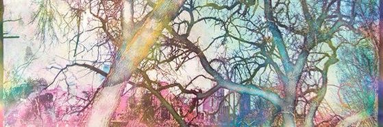 lOnOlccc's profile banner image