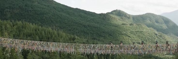 oliviadengo's profile banner image