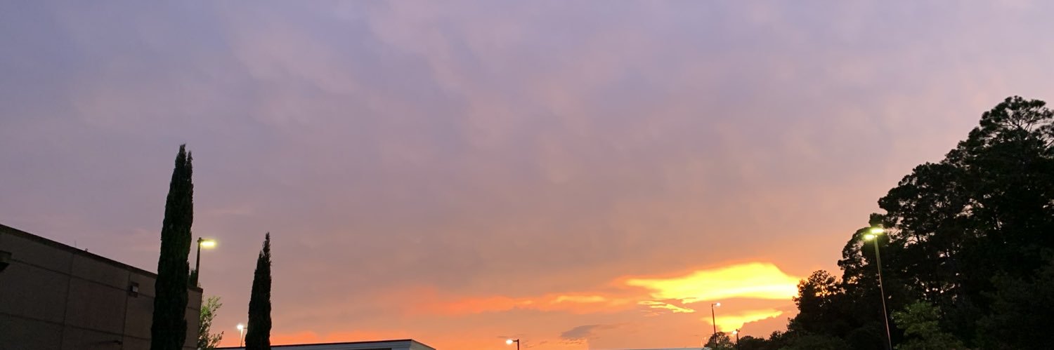 northXzv's profile banner image