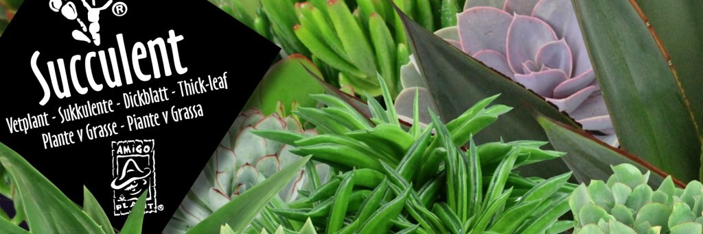 Amigo Plant BV banner