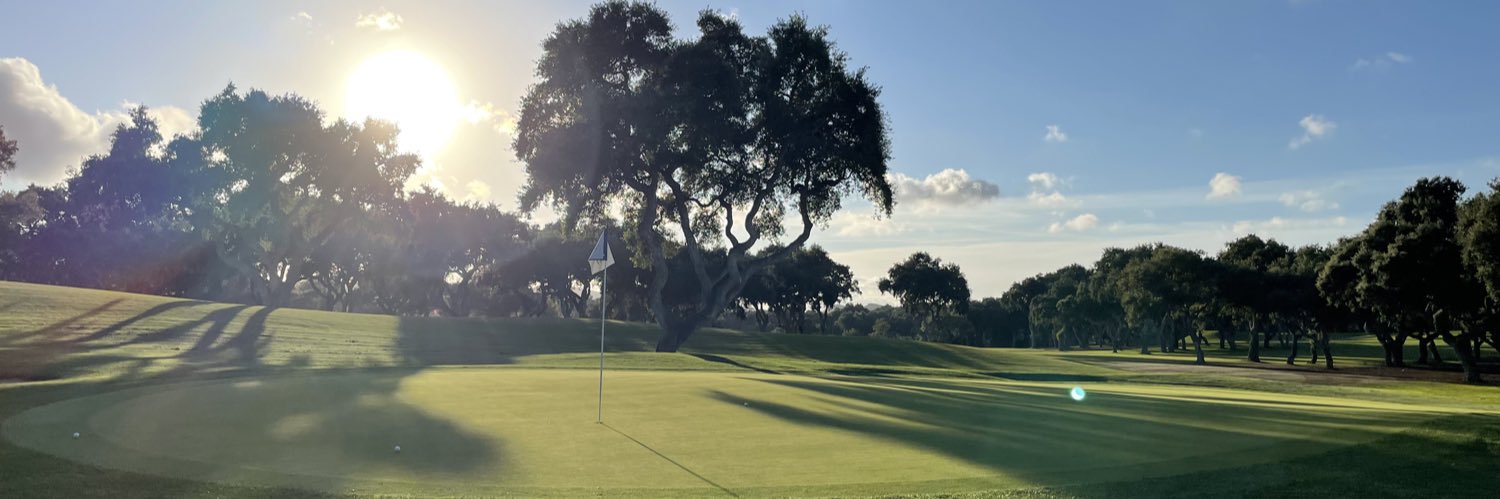 Wouter de Vries banner