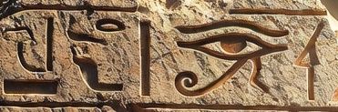 4N4RGY-SH0T banner