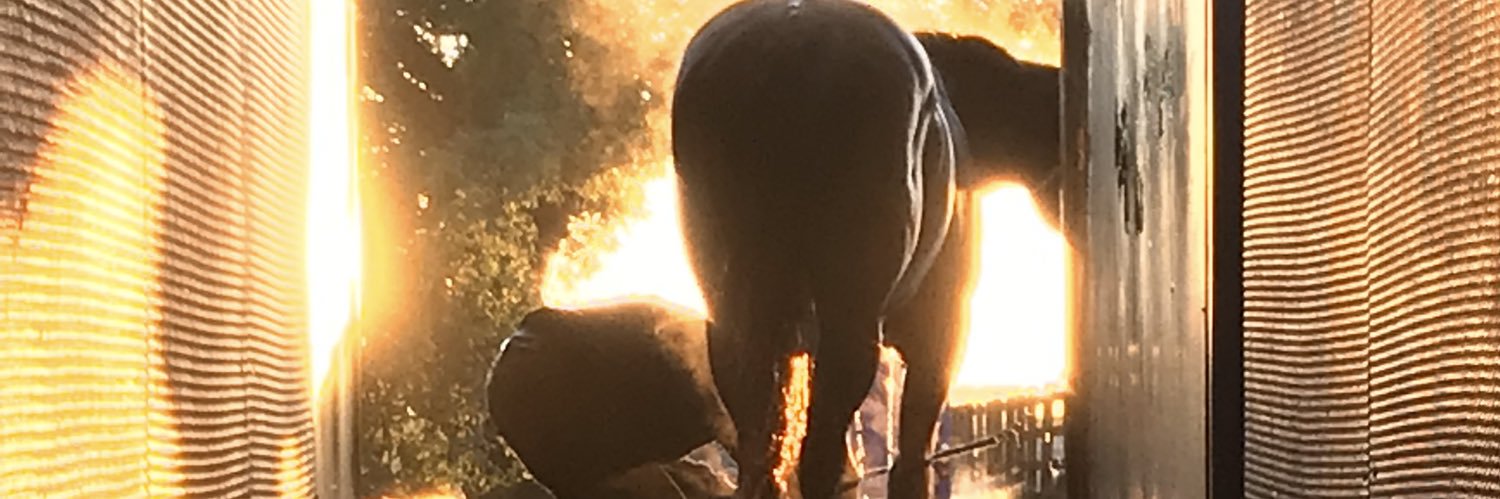 Rhonab20's profile banner image