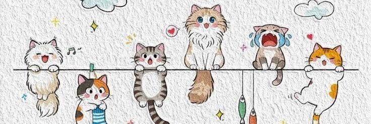 `°˖ ࣪⊹♡C_cnazz*･῾ ✧.* banner