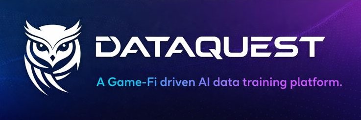 DataQuest_Cardano banner