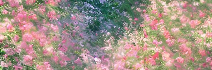 NALEE banner
