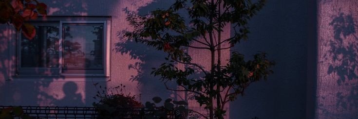 Sv_sheben3's profile banner image