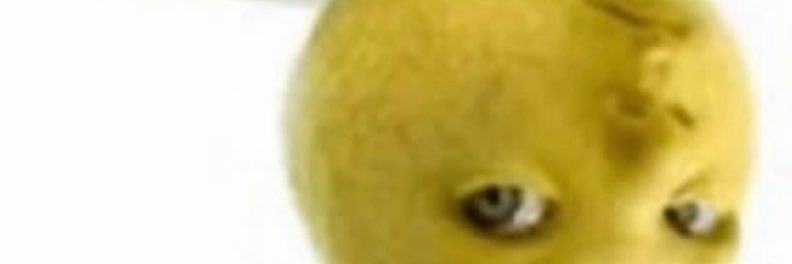 ZFN | slowbeau banner