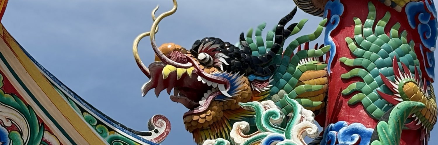 crocodile🐊 banner