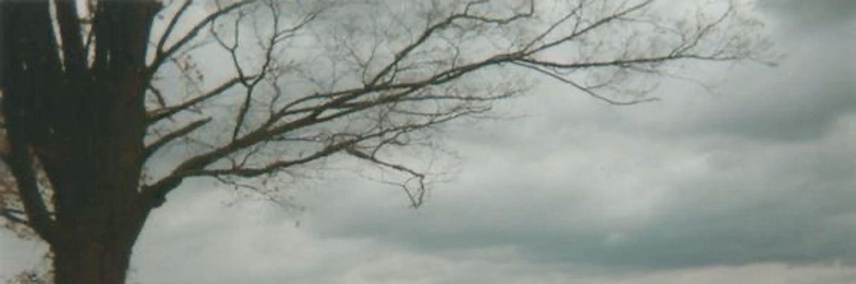 grimephobia's profile banner image