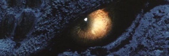 agozigozi1995's profile banner image