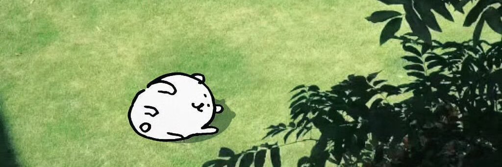 林林 banner