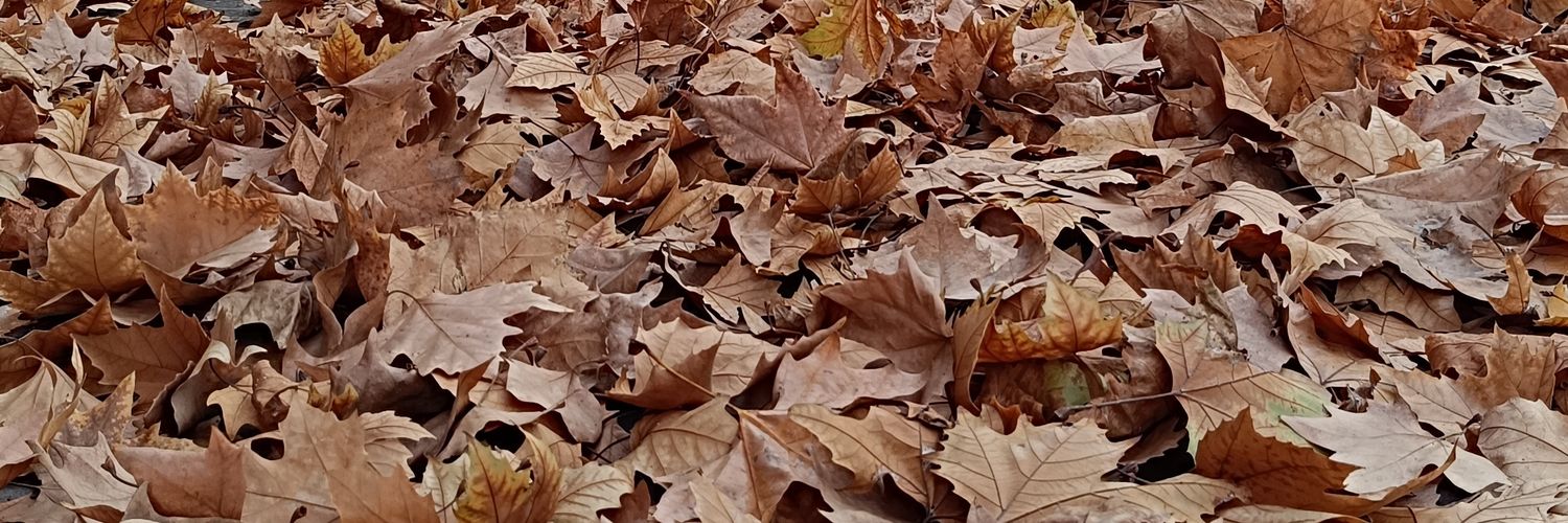 ynsemreklnc06's profile banner image