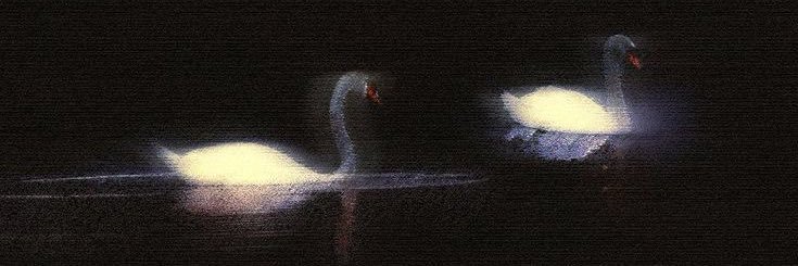 Sv_66r's profile banner image