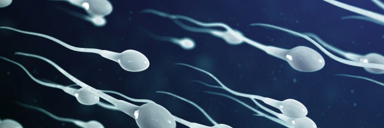 Sperms Splashes banner