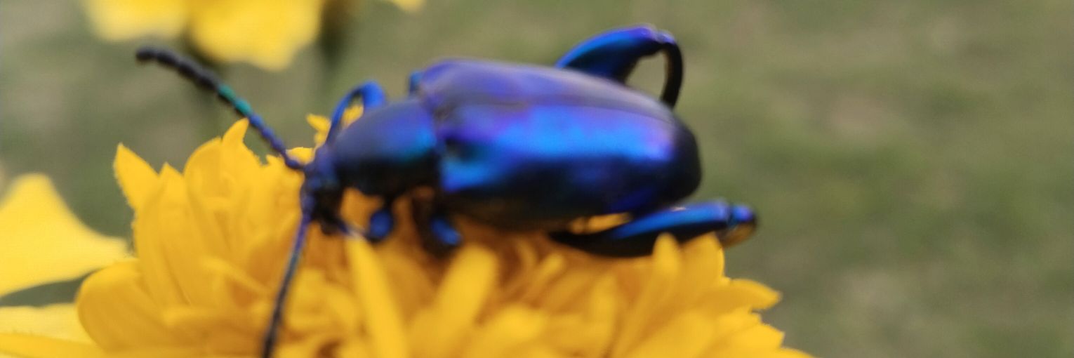 ได้หมดถ้าสดชื่น banner