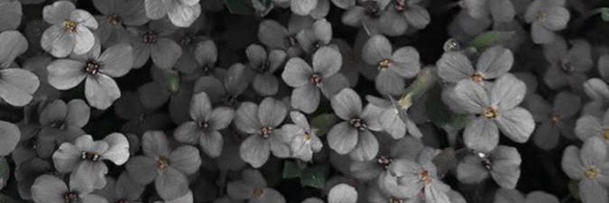 _inq108's profile banner image