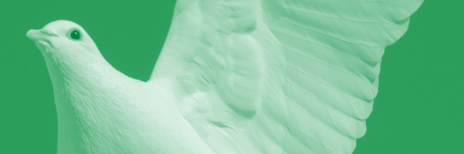 Peace Studies MDPI banner