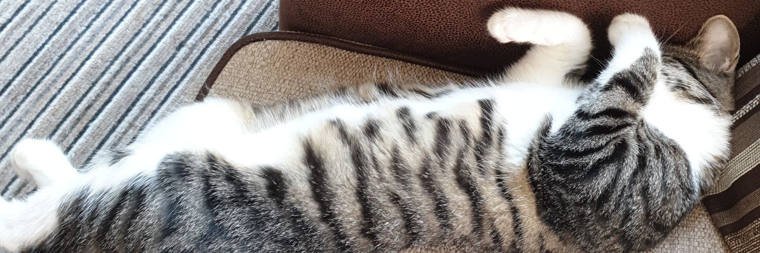 EmilyJessicaBea's profile banner image