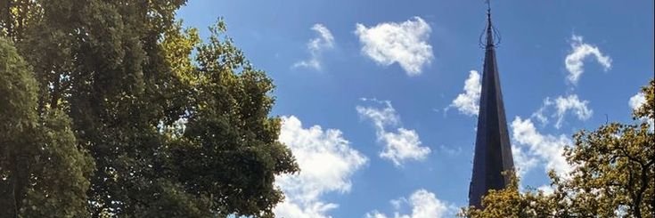 dygzdl's profile banner image