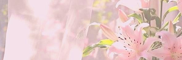 bloominghaize's profile banner image