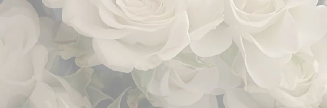 みりん@プロカ必読 banner
